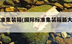 国际标准集装箱(国际标准集装箱最大起升高度)
