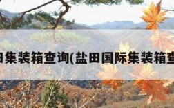 盐田集装箱查询(盐田国际集装箱查询)