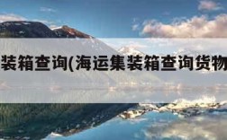海运集装箱查询(海运集装箱查询货物追踪官网)