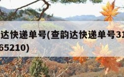 查韵达快递单号(查韵达快递单号3120019865210)