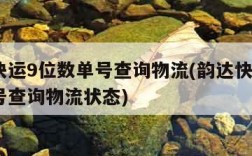 韵达快运9位数单号查询物流(韵达快运9位数单号查询物流状态)