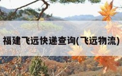福建飞远快递查询(飞远物流)