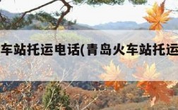 青岛火车站托运电话(青岛火车站托运电话多少)