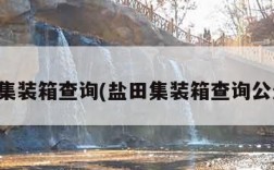 盐田集装箱查询(盐田集装箱查询公众号)