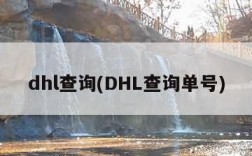 dhl查询(DHL查询单号)