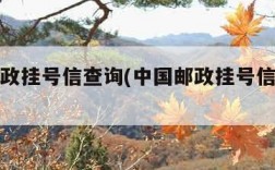 中国邮政挂号信查询(中国邮政挂号信查询系统)