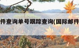 国际邮件查询单号跟踪查询(国际邮件快递查询)