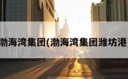 渤海湾集团(渤海湾集团潍坊港)