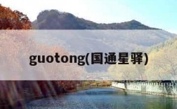 guotong(国通星驿)