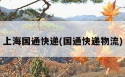 上海国通快递(国通快递物流)