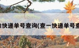 标准快递单号查询(查一快递单号查询)