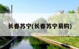 长春苏宁(长春苏宁易购)