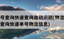 物流单号查询快递查询自动识别(物流单号查询怎么查询快递单号物流信息)