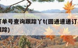 圆通订单号查询跟踪丫t(圆通速递订单编号查询跟踪)