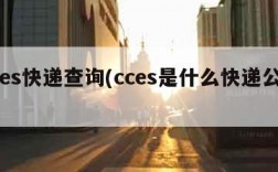 cces快递查询(cces是什么快递公司)