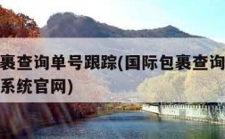 国际包裹查询单号跟踪(国际包裹查询单号跟踪查询系统官网)