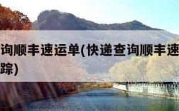 快递查询顺丰速运单(快递查询顺丰速运单号查询跟踪)