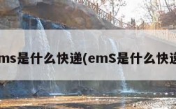 ems是什么快递(emS是什么快递)