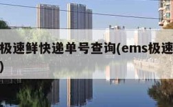 ems极速鲜快递单号查询(ems极速鲜时效表)