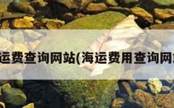 海运费查询网站(海运费用查询网站)