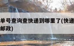 邮快递单号查询查快递到哪里了(快递查询查询单号邮政)