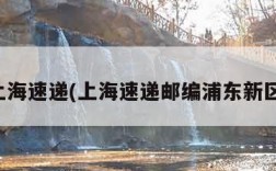 上海速递(上海速递邮编浦东新区)