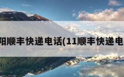 沈阳顺丰快递电话(11顺丰快递电话)