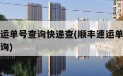 顺丰速运单号查询快递查(顺丰速运单号查询快递查询)