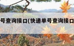 快递单号查询接口(快递单号查询接口怎么查)