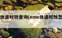 ems快递时效查询(ems快递时效怎么样)