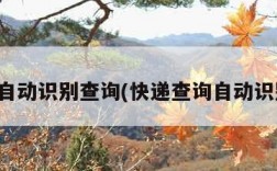 快递自动识别查询(快递查询自动识别查)