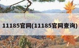 11185官网(11185官网查询)