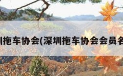 深圳拖车协会(深圳拖车协会会员名单)