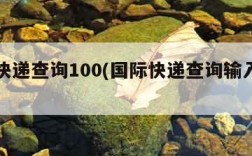 国际快递查询100(国际快递查询输入号码查询)