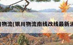 银川物流(银川物流南线改线最新消息)