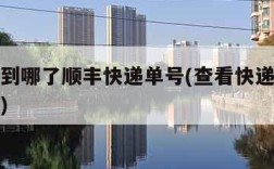 查快递到哪了顺丰快递单号(查看快递顺丰快递单号)