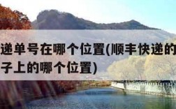 顺丰快递单号在哪个位置(顺丰快递的快递单号在单子上的哪个位置)