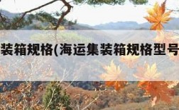 海运集装箱规格(海运集装箱规格型号和类型)