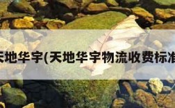 天地华宇(天地华宇物流收费标准)