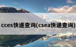 cces快递查询(csea快递查询)