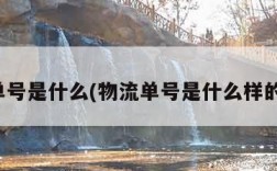 物流单号是什么(物流单号是什么样的图片)