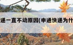 申通快递一直不动原因(申通快递为什么一直不动)
