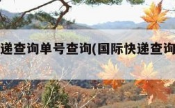 国际快递查询单号查询(国际快递查询单号查询17)
