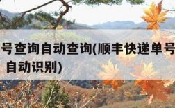 顺丰单号查询自动查询(顺丰快递单号查询自动查询 自动识别)
