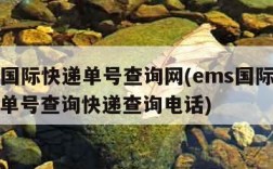 ems国际快递单号查询网(ems国际快递查询单号查询快递查询电话)