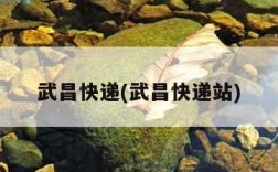 武昌快递(武昌快递站)