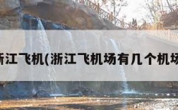浙江飞机(浙江飞机场有几个机场)