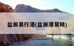 盐田易行港(盐田港易明)