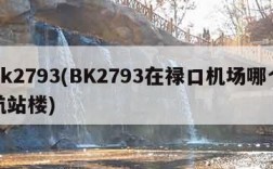 bk2793(BK2793在禄口机场哪个航站楼)