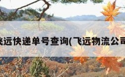 飞远快递单号查询(飞远物流公司)